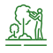 Tree & Shrubs Maintenance