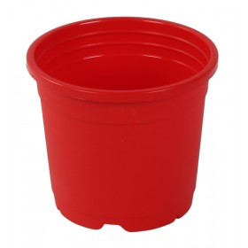 Sunrise Pot 11 cm (4.5") Red