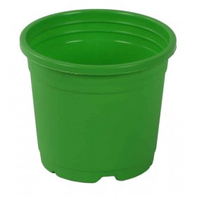 Sunrise Pot 19.5 cm (8") Apple Green