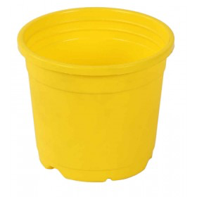 Sunrise Pot 10 cm (4") Yellow