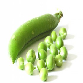 Peas arkel
