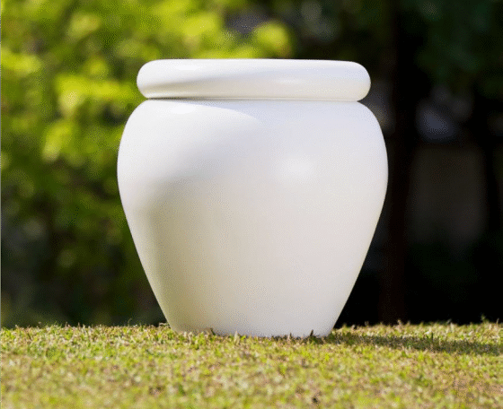 Gladiola Fiber Pot
