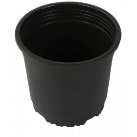 Sunrise Pot 10 cm (4") Black
