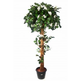 Artificial White Bougainvillea Topiary Plant N