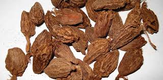 Greater Cardamom- Badi Elaichi