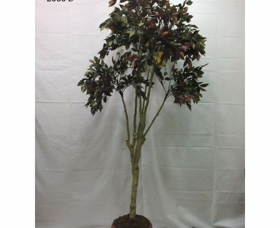 Artificial Plant 2000-S