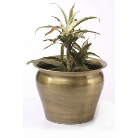 Iron Planter With Brass Finish (82475BA)