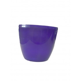 Blue Colour Daisy Planter 12.5 cm