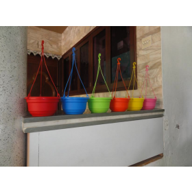 Colourful Hanging Baskets