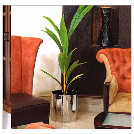 Armour Stainless Steel Planter