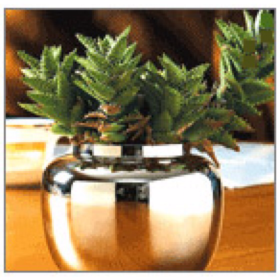 Belly Pot�