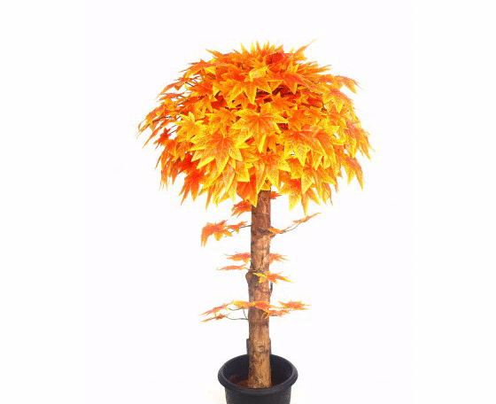 Artificial Maple Plant Orange Topiary N. Coffee