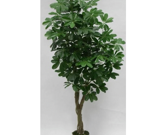 Artificial Schefflera Plant