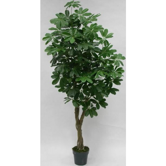Artificial Schefflera Plant