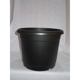 Plastic Pot Marigold-14