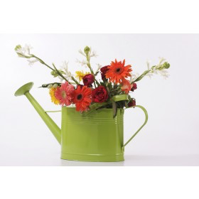 Vases 68107