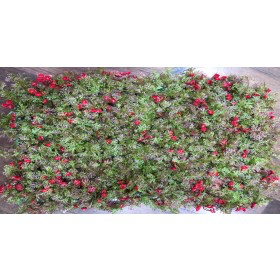 Dry Leaves with Red Flowers Tiles for Vertical - Artificial Garden