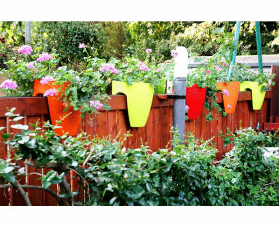 High Quality Plastic Balcony Railing Planter (Orange-Green-Red Combos)
