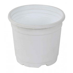 Sunrise Pot 14.5 cm (6") White�
