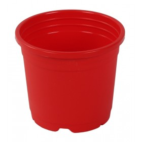 Sunrise Pot