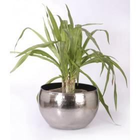 Round Shaped Metallic Planter (81203)