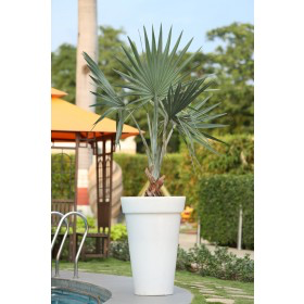 Illuminated Planter 9157