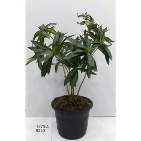 Artificial Plants 1573 A