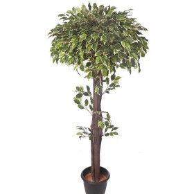 Artificial Mini V.G. Ficus Real Touch Topiary Plant 4'