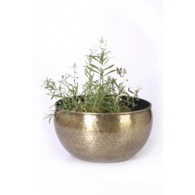 Planter 81203BA
