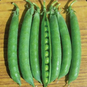 Peas azad p 3