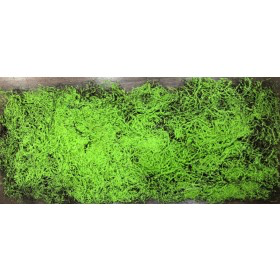 Green Moss Tiles for Vertical Garden - Indoor