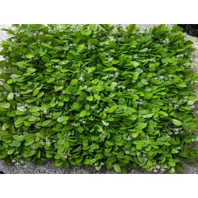 White Flower Round Ball Leaves Tiles - Indoor