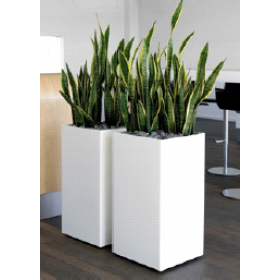 Stainless Steel SS Square Planters�