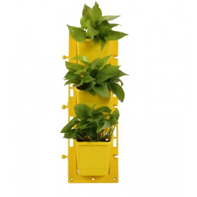 Yellow Colour Vertical Wall Garden Panel