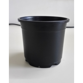 Sunrise Pot 11 cm