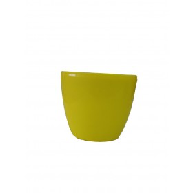 Yellow Color Daisy Planter 12.5 cm