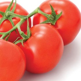 Tomato ped