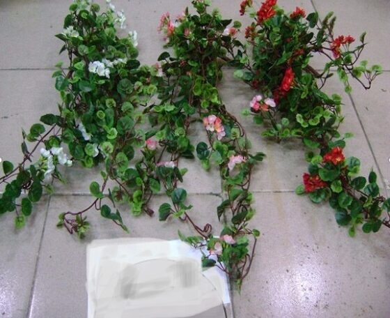 Artificial Hanging Nephthytis Garland Creeper H 72"