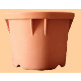 Plastic Pot Star ( Pack of 4 ) 2