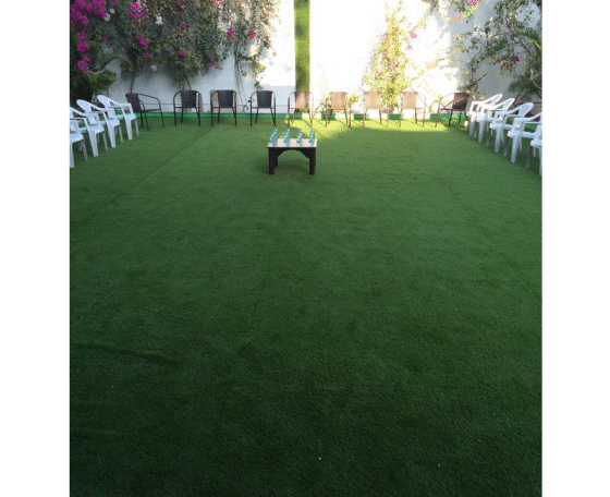Artificial Lawn Grass (25 mm) -�Artificial Turf
