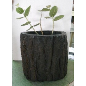 Bark Pot