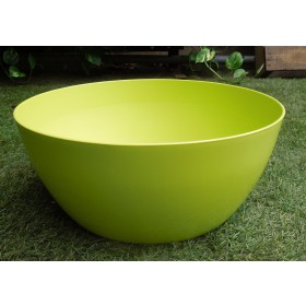 Colorful Yellow Flower & Cactus Plants Bowl Planter
