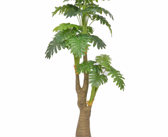 Artificial Monstera R.T PU Trunk Plant 5 Feet