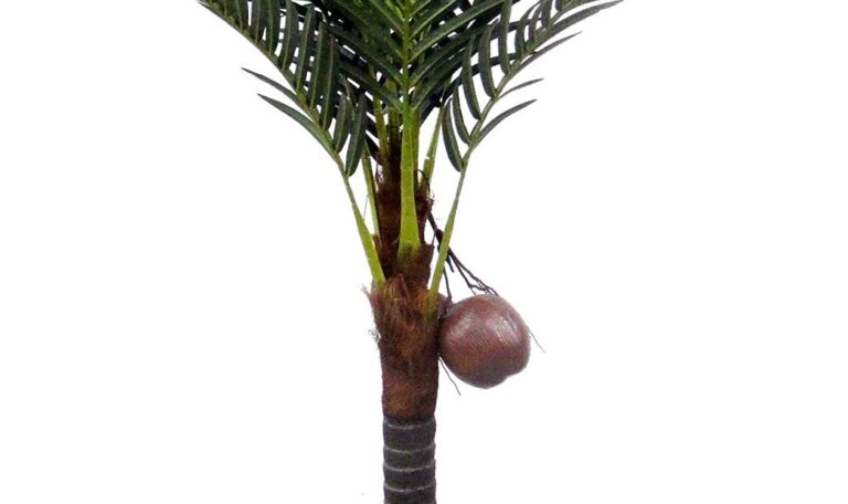 Coconut Tree Small