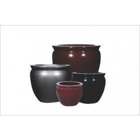 Synthetic Fish Bowl