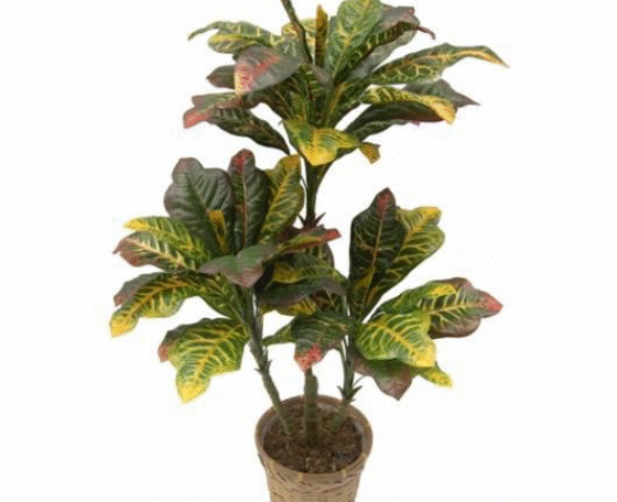 Artificial Croton Plant