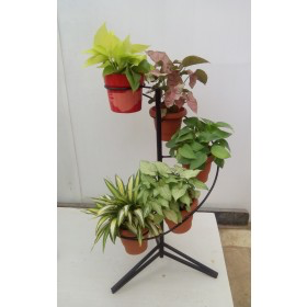 Spiral Pot Stand (Ring)
