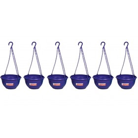 Hanging Planter Violet