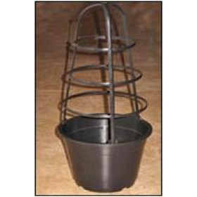 Climber Pots - Trellis Cage