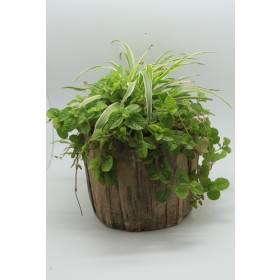 Woodlike Pots-Fm012 Duramen